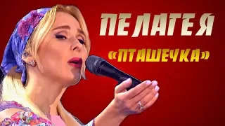 ОЧЕНЬ ДУШЕВНО СПЕЛА! ПЕЛАГЕЯ -  ПТАШЕЧКА 2018