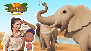 Gajah Afrika 🐘 | Leo Si Penjaga Alam | #minisode