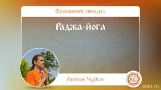 Раджа-йога. Антон Чудин