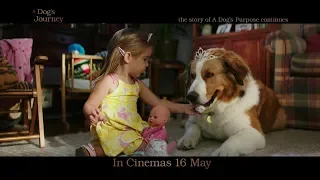 A DOG'S JOURNEY | New Purpose | In Cinemas 16 May
