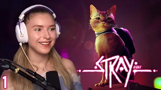 The PUURRRFECT GAME Doesn't Exi.. - Stray - Part 1 (PS5)