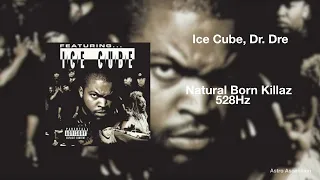 Dr. Dre - Natural Born Killaz ft. Ice Cube [528Hz Heal DNA, Clarity & Peace of Mind]