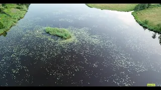 Riešės tvenkinys, dirbtinis - Lietuvos gamta, lietuvos ezerai