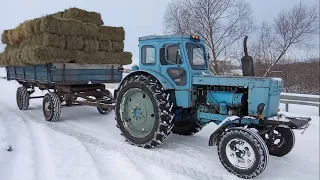 Доставка сена на Т-40