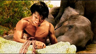 He Creates KUNG FU Moves from Elephant Bones | Film/Movie Explained in Hindi/Urdu | Movie Story