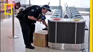 Na lotnisku porzucono podejrzany bagaż! | Sydney: lotnisko pod kontrolą