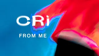 CRi feat. Bernache - From Me