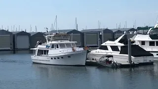 The Marina-ness Creature living at the Port of Everett Washington #Seamonster #Nessy #EverettWA