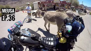 Oatman, Arizona *Route 66* Harley Davidson Shovelhead RoadTrip