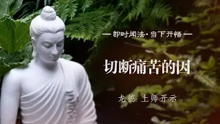 龙德 上师：切断痛苦的因