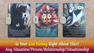 Is Your Gut Feeling Right About This🤔🤷‍♀️👍Any Situation/Person/Relationship👍Timeless Reading