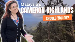 Amazing Experiences In Malaysia's Cameron Highlands: Is It Worth a Trip?