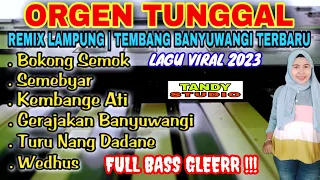 Orgen Tunggal Remix Lampung full bass glerr❗Tembang banyuwangi terbaru@tandystudio6343