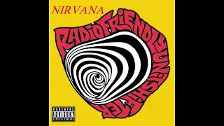Nirvana Radio Friendly Unit Shifter Backing Track For Guitar With Vocals