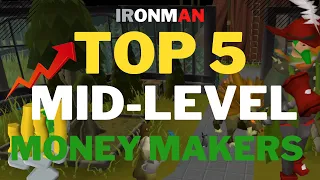 Top 5 BEST Mid Level Ironman Money Makers Not To Miss Out On! | Updated | OSRS | Updated |