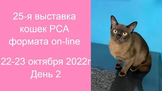 25-я выставка кошек PCA on-line 22-23.10.2022г. День 2