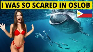 Oslob Cebu Whale SHARK ATTACK? 🐋 😱 - Whale Watching Adventure