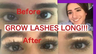 How to grow long and thick eyelashes FAST! (scientifically proven)