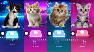 Cute Cats WEDNESDAY BLOODY MARY vs BTS DYNAMITE and Shakira Waka Waka and BLACKPINK Lisa Mmoney