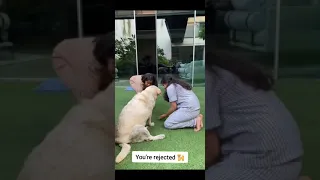 Mahesh babu daughter sitara's adorable video.. 😘 😘