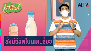 สิ่งมีชีวิตในนมเปรี้ยว | คิดวิทย์