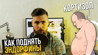 Как понизить Кортизол? Эндорфины и стрессоустойчивость