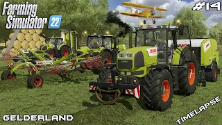 Baling 99 GRASS SILAGE bales with CLAAS | Animals on Gelderland | Farming Simulator 22 | Episode 14