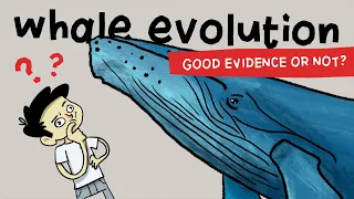Debunking Whale Evolution: good evidence for Darwin or not?