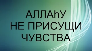 Аллаhу НЕ присущи чувства (злиться или радоваться)