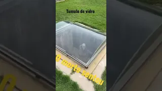 Morto se senta dentro de túmulo, Siga pra ser notificado quando vídeo novo for postado.