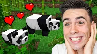 Oswoiłem PANDĘ w Minecraft!