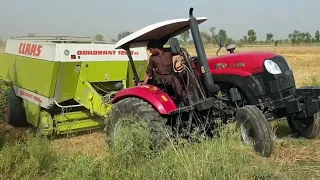 TRACTOR YTO EX 800 Hauling Master | Operating Wheat Straw Compress Bailing Machine | Mani Tractors