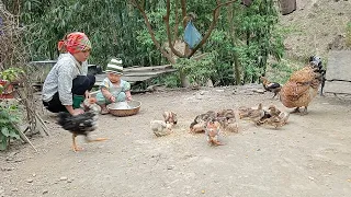 The mother and daughter stopped roaring at the orange and peach trees lý thị máy