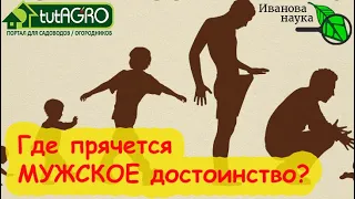 ЕСТЬ ТОЛЬКО ОДНО ОТЛИЧИЕ МУЖЧИН от ЖЕНЩИН и его можно увидеть. Как распознать истинного мужчину?