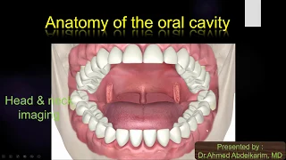 6-Anatomy of the oral cavity