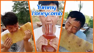 ABS Honey BEE | Best HoneyComb Eating ASMR | Honey Eating Show 🎖️23