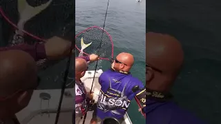 Using Live Bait To Catch Fish