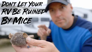 How To Keep Mice And Pest Out Of Your RV.
