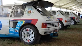 Peugeot 205 T16 x3 - ORGASME AUDITIF !