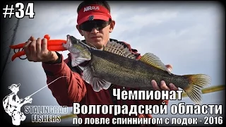 Чемпионат Волгоградской области по ловле спиннингом с лодок - 2016
