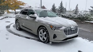 Audi e-tron Cold Start and Snow Drive