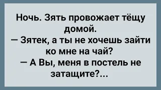 Теща Хочет Затащить Зятя в Постель! Сборник Свежих Анекдотов! Юмор!