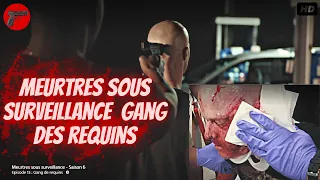 Meurtres sous surveillance : Gang des requins  | Crime Investigation | Gangsters USA |