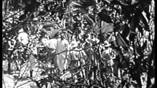 White Pongo (1945) JUNGLE ADVENTURE