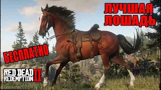 RDR2 ЛУЧШАЯ БЕСПЛАТНАЯ ЛОШАДЬ