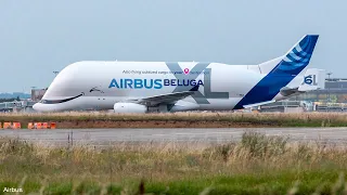 Sixième et dernier Beluga XL pour Airbus