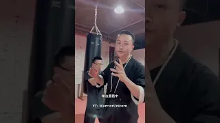 Master Tu Tengyao  |  Training Class 2022 #1  | Wing Chun attacking Moves