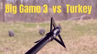 BIG GAME 3 FIELD TEST