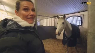 #5 Hvordan går man inn i boksen til en hest med Märtha Louise