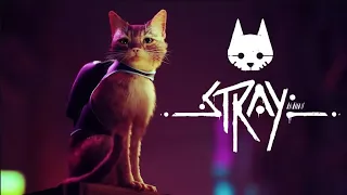 STRAY Gameplay Walkthrough FULL GAME [60FPS PC] - No Commentary